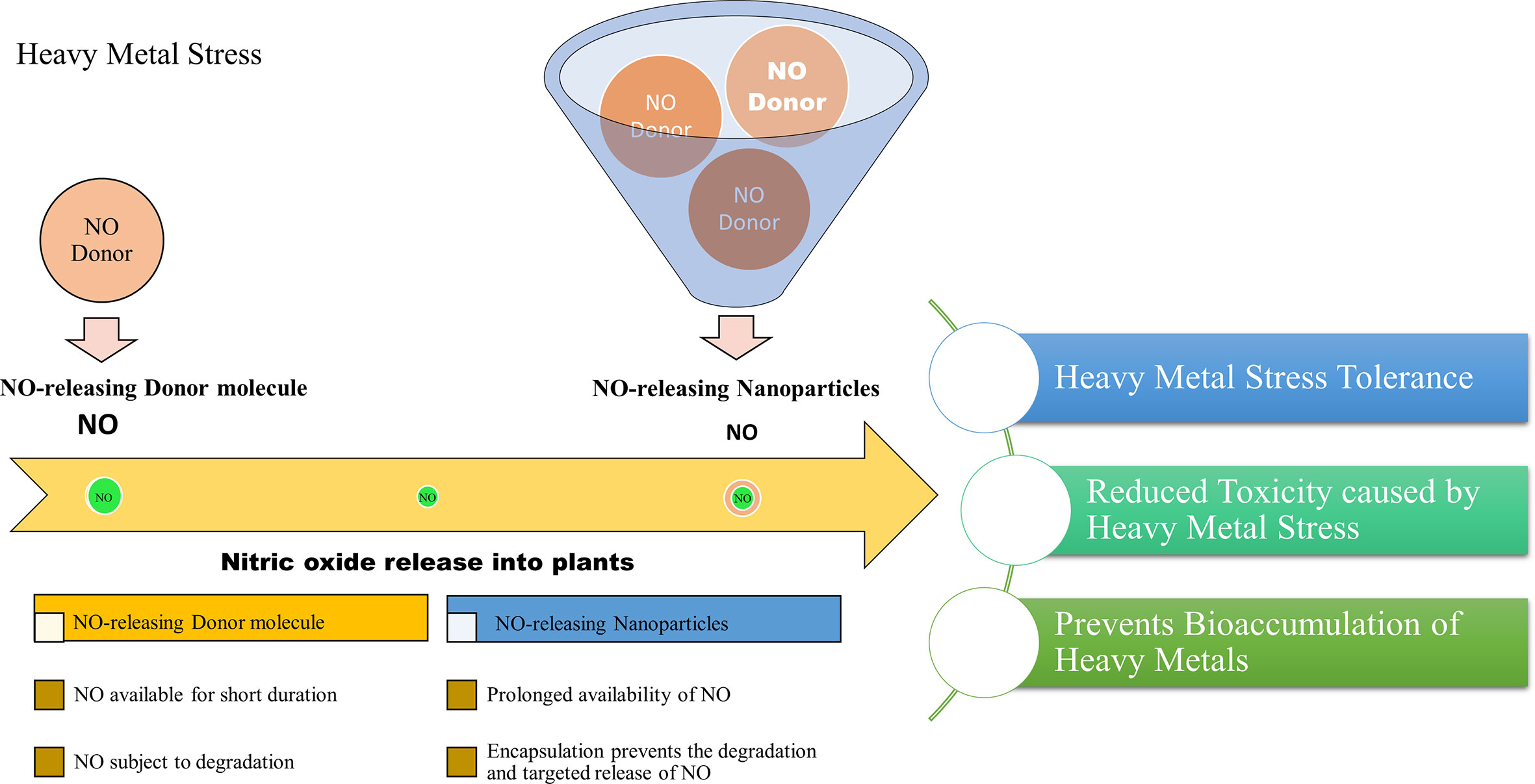 Frontiers Heavy Metal Toxicity In Plants And The Potential No Releasing Novel Techniques As 4802