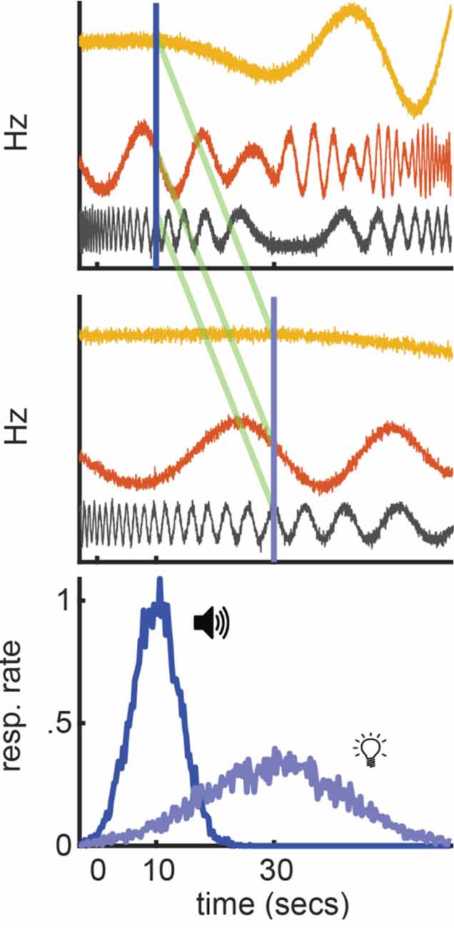 Frontiers | Temporal scaling and computing time in neural circuits