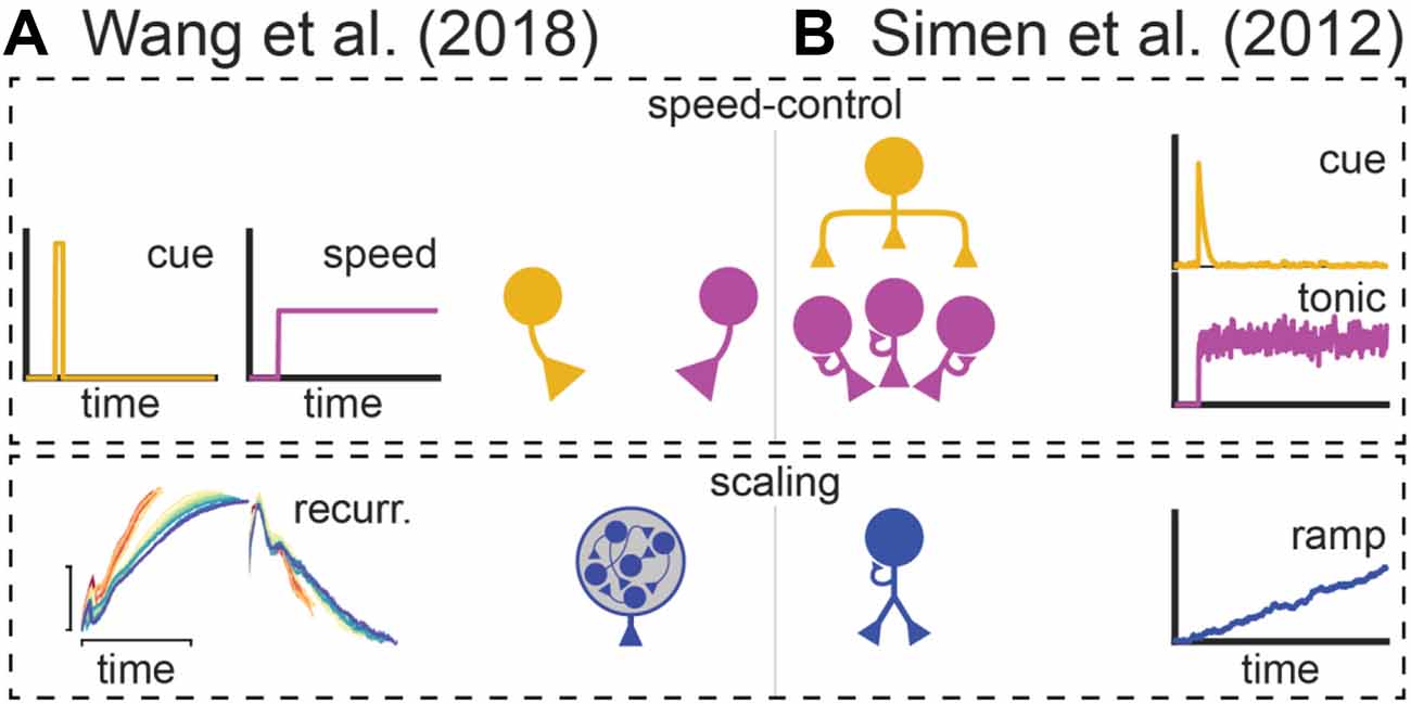 Frontiers | Temporal scaling and computing time in neural circuits