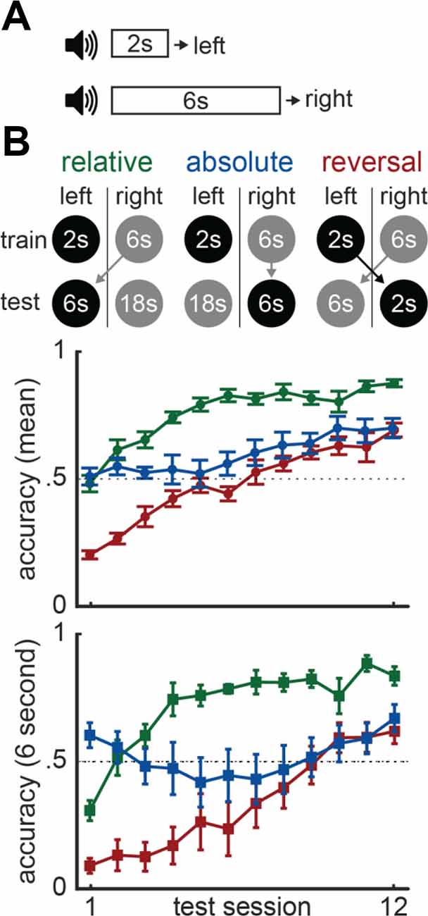 Frontiers | Temporal scaling and computing time in neural circuits