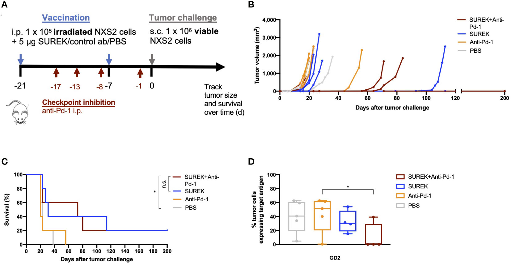 Frontiers | Combination Of GD2-directed Bispecific Trifunctional ...