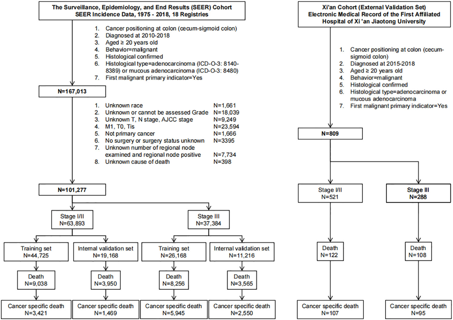 SEER Training: Small & Large Intestine