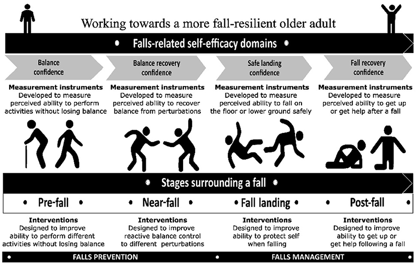 Frontiers  Measures of falls efficacy, balance confidence, or balance  recovery confidence for perturbation-based balance training