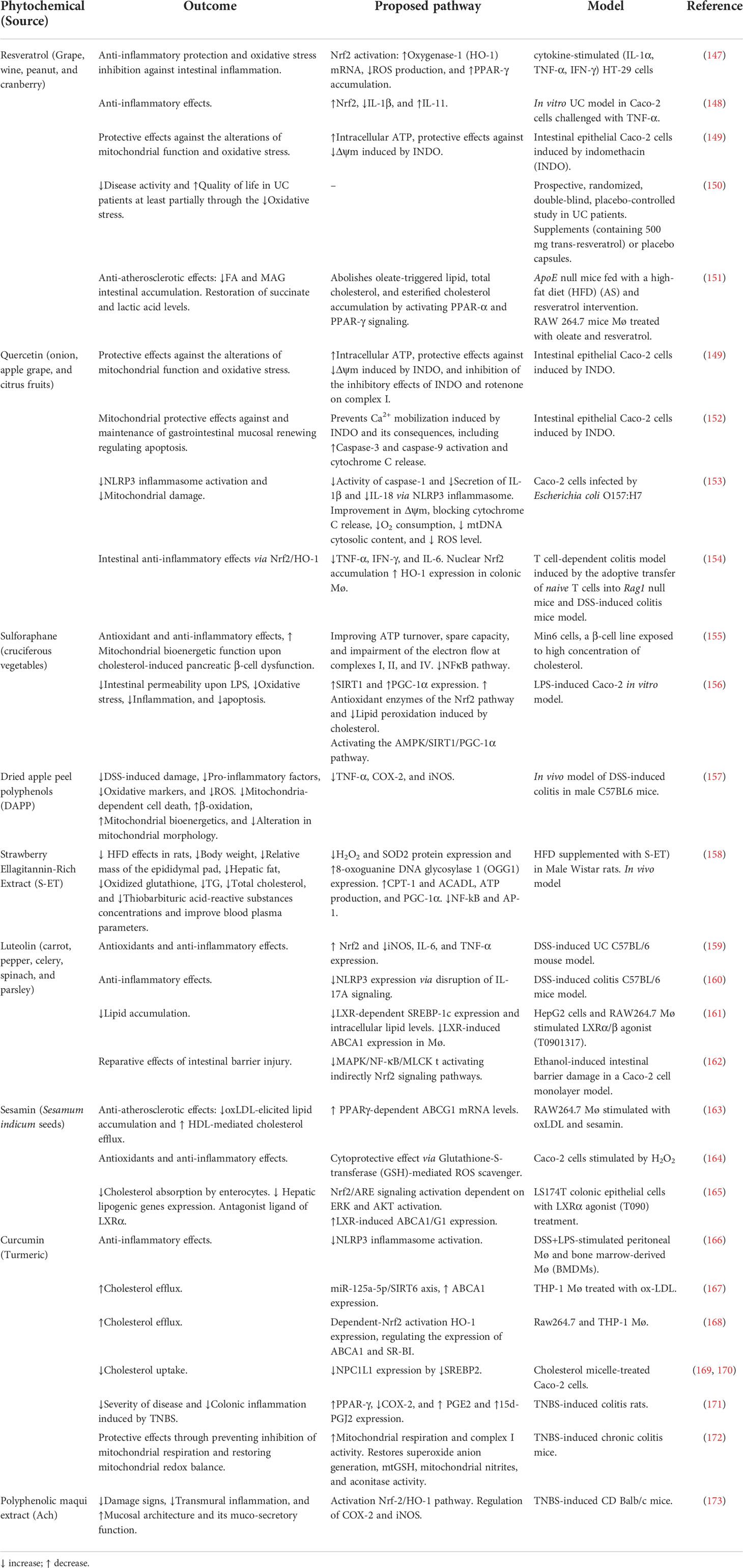 Frontiers | The role of cholesterol and mitochondrial bioenergetics in ...