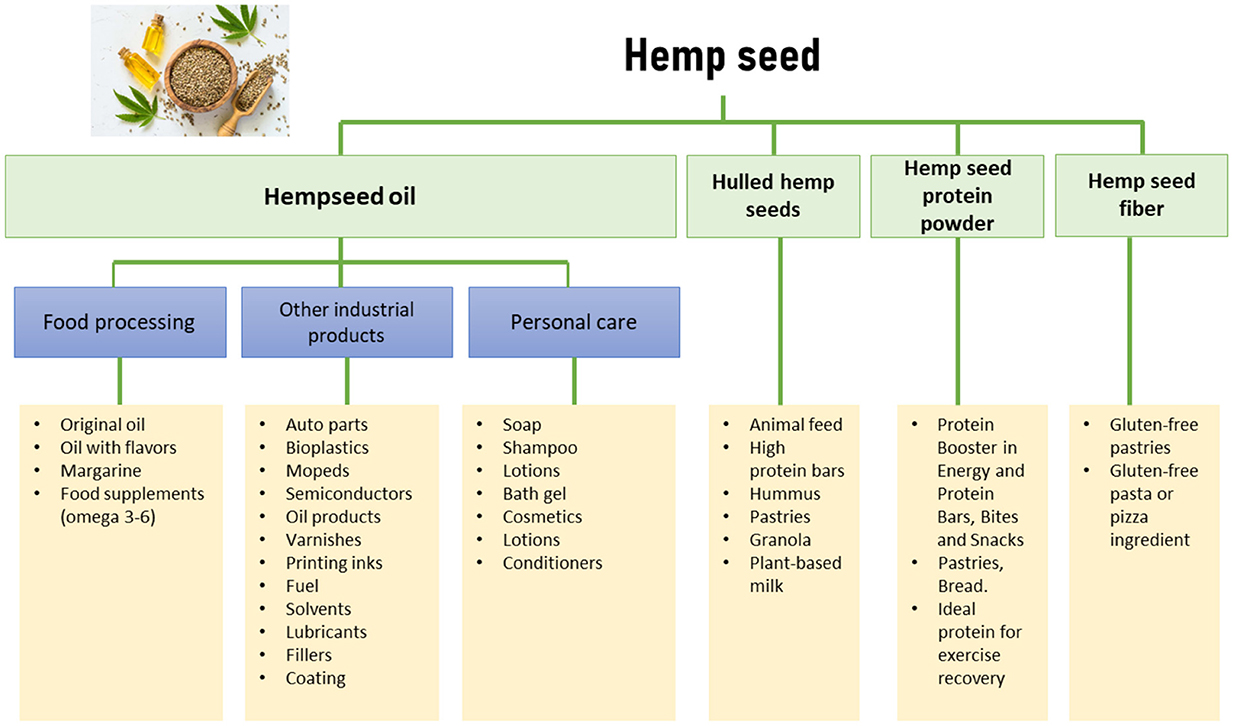 Hemp, Description, Products, Seeds, Fiber, & Uses