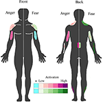 Frontiers | The Body Action Coding System II: muscle activations during ...