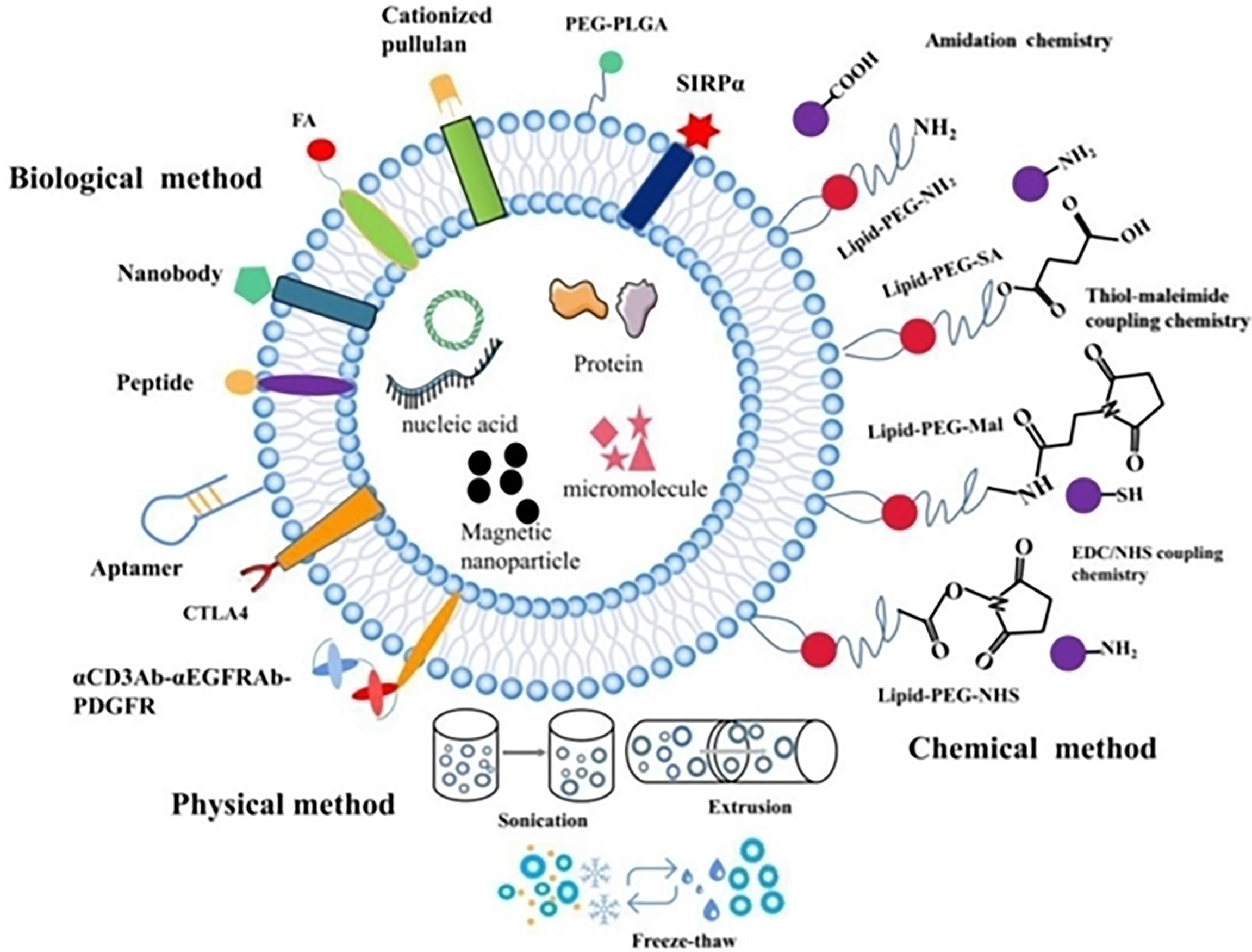 Frontiers | Engineered Multifunctional Nanocarriers For Controlled Drug ...