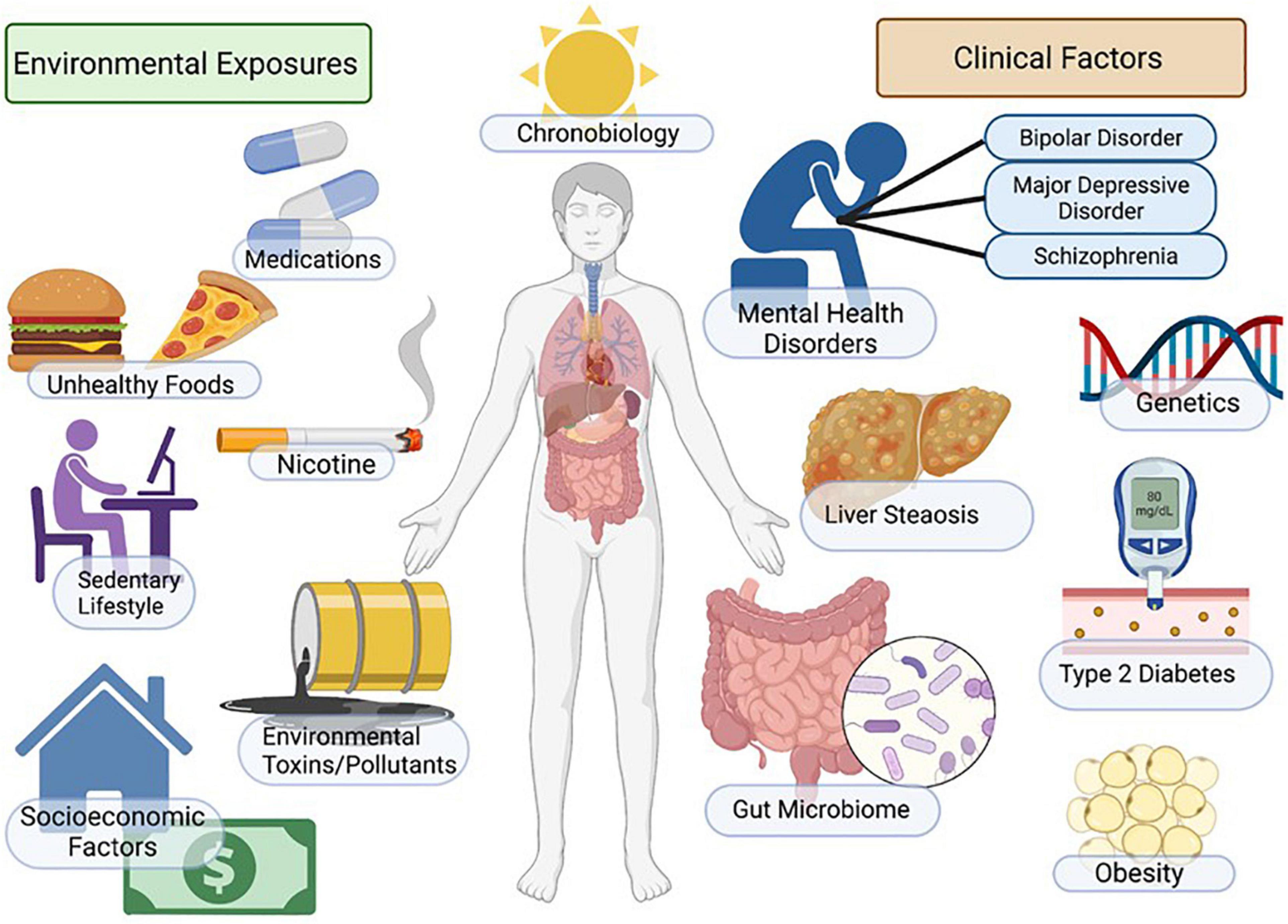 Frontiers Non alcoholic Fatty Liver Disease NAFLD And Mental 