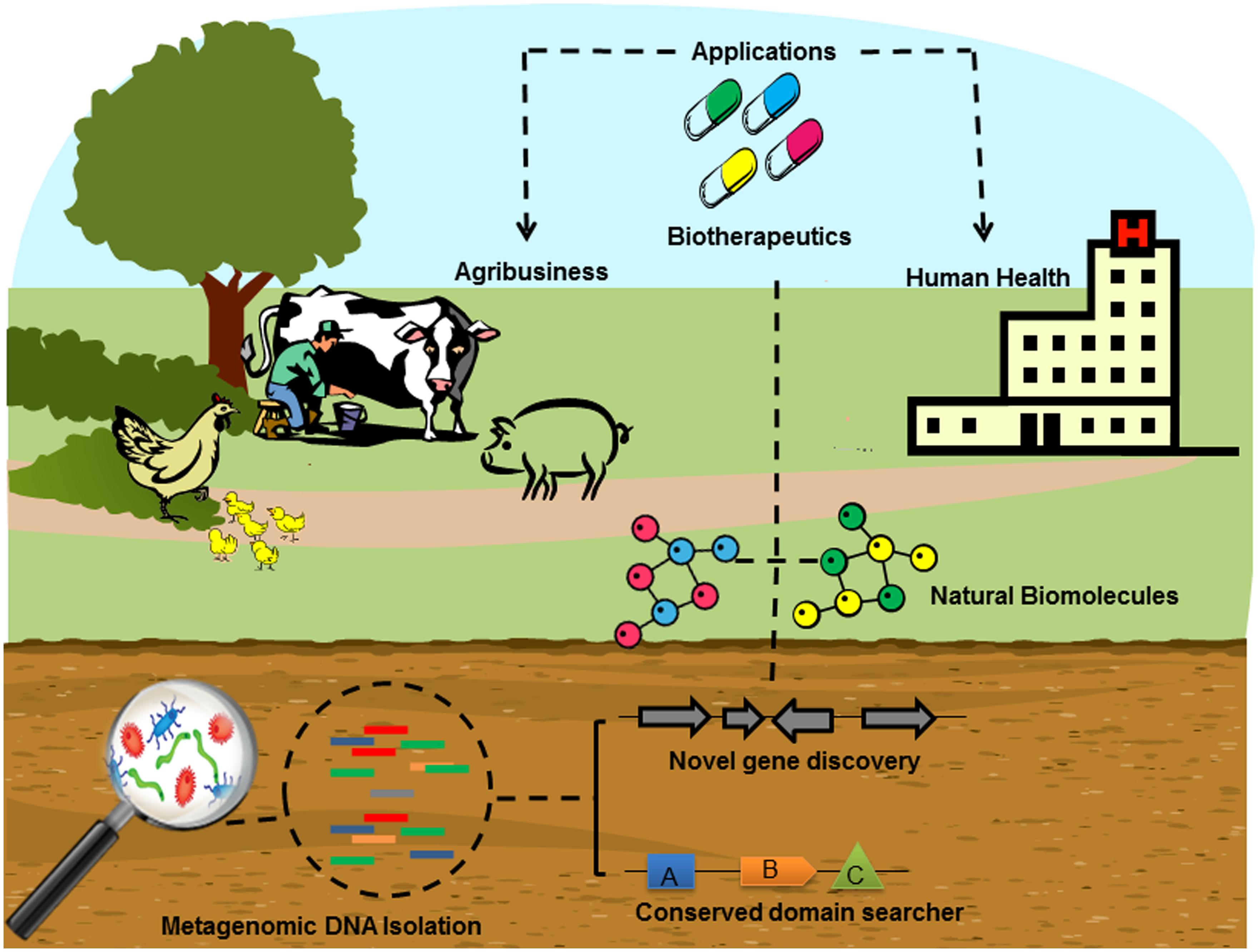 Frontiers Insights Into Novel Antimicrobial Compounds And Antibiotic Resistance Genes From