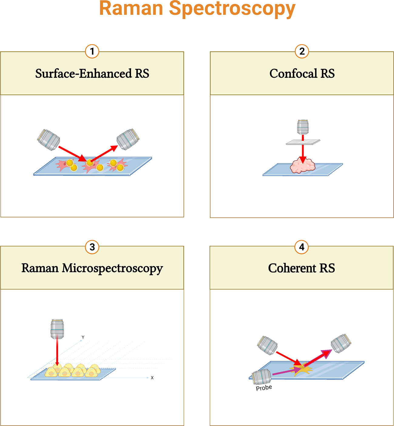 Frontiers | The emerging applications and advancements of Raman 