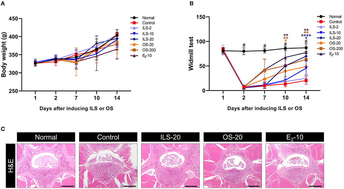 Frontiers | Effects of the administration of Shinbaro 2 in a rat