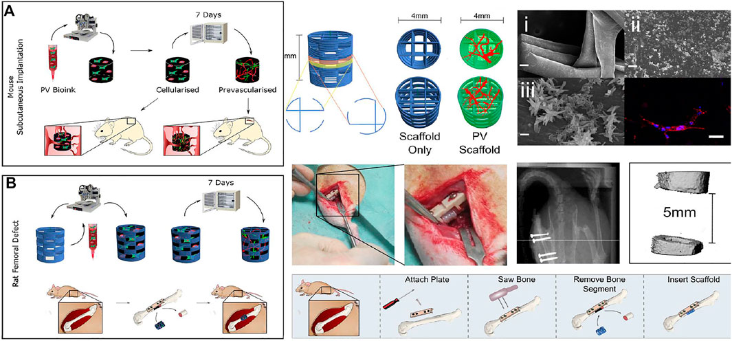 Multimodal Augmentation of Surfaces Using Conductive 3D Printing