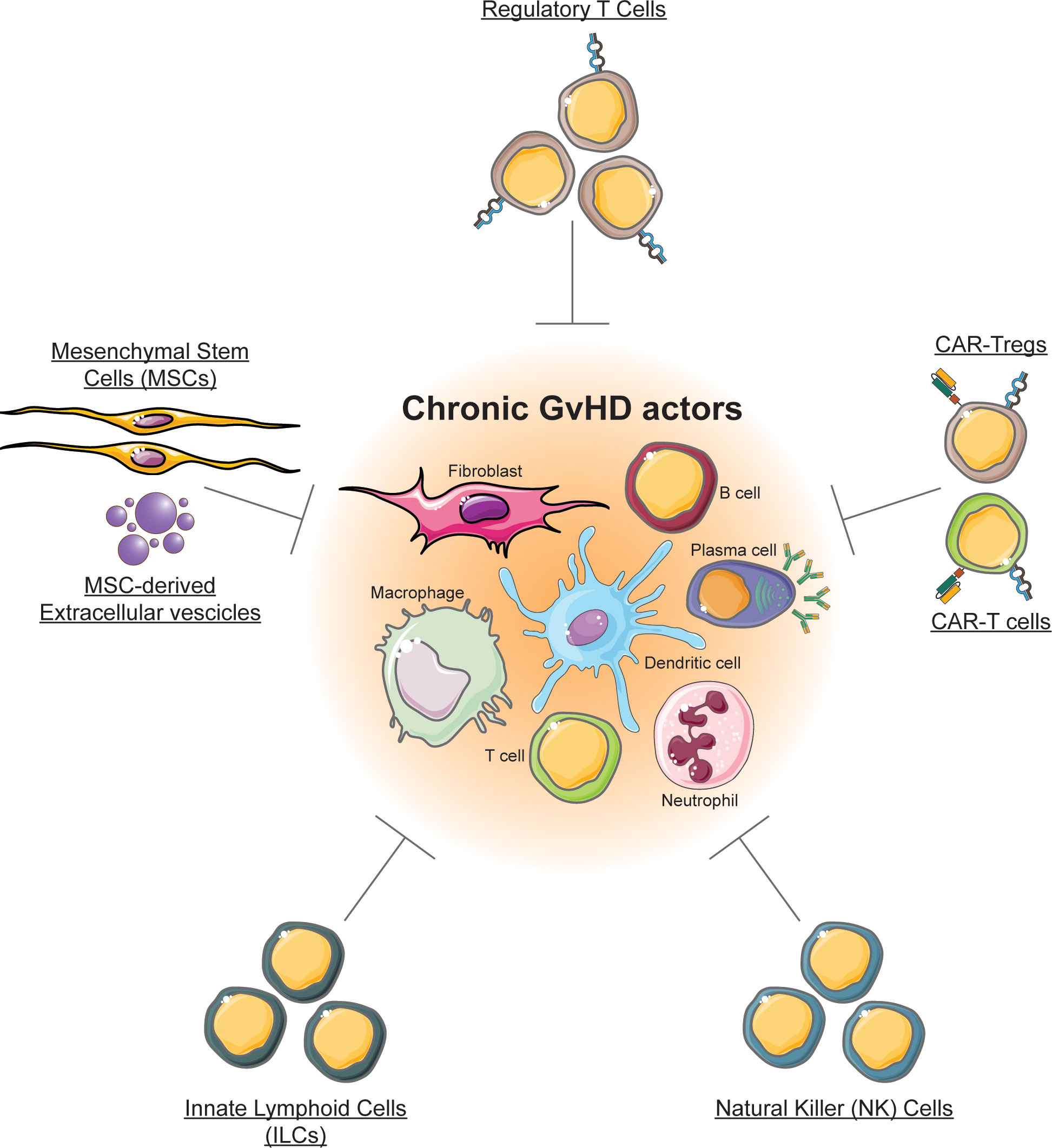 Frontiers Cell based Therapy In Prophylaxis And Treatment Of Chronic 