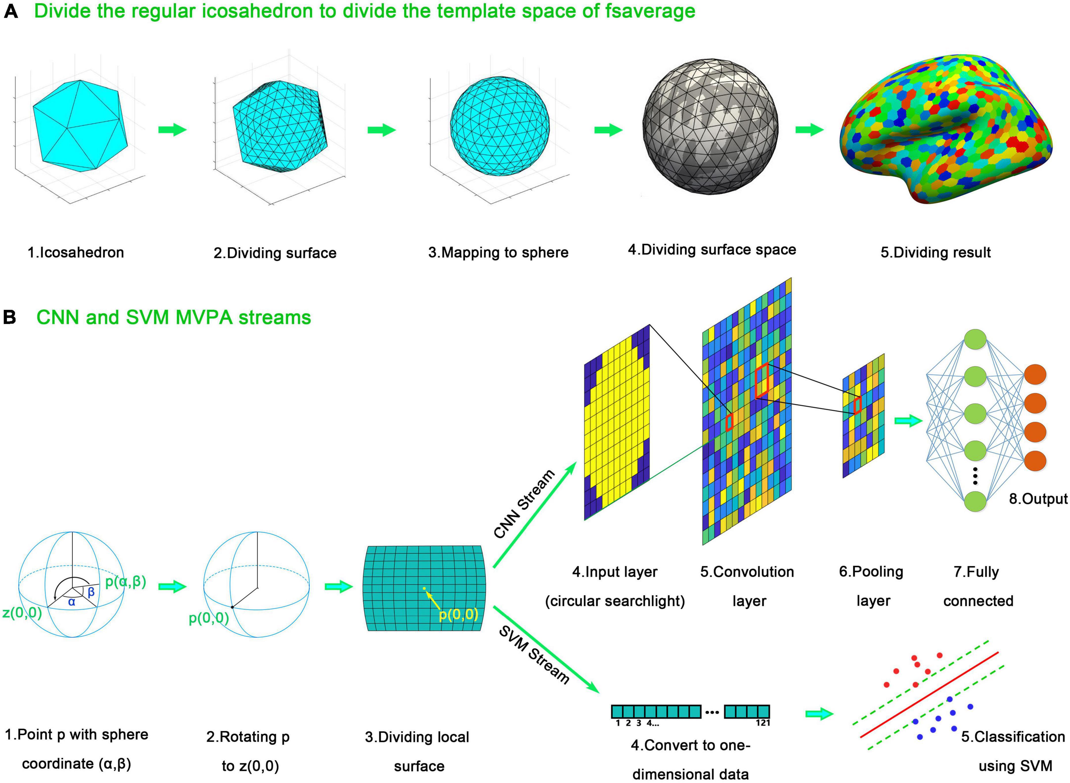 Frontiers | SF-MVPA: A from raw data to statistical results and surface ...