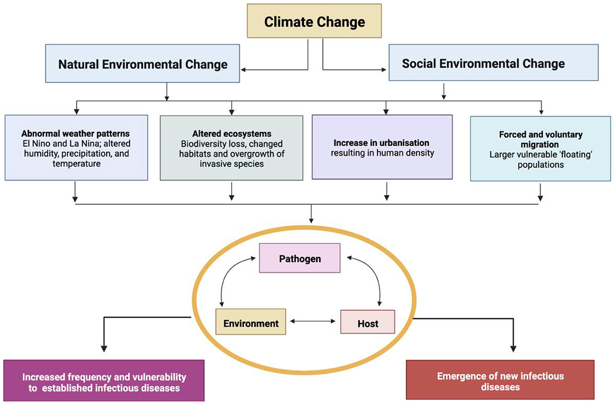 Climate Change and Public Health - Health Effects - Pollen and Your Health