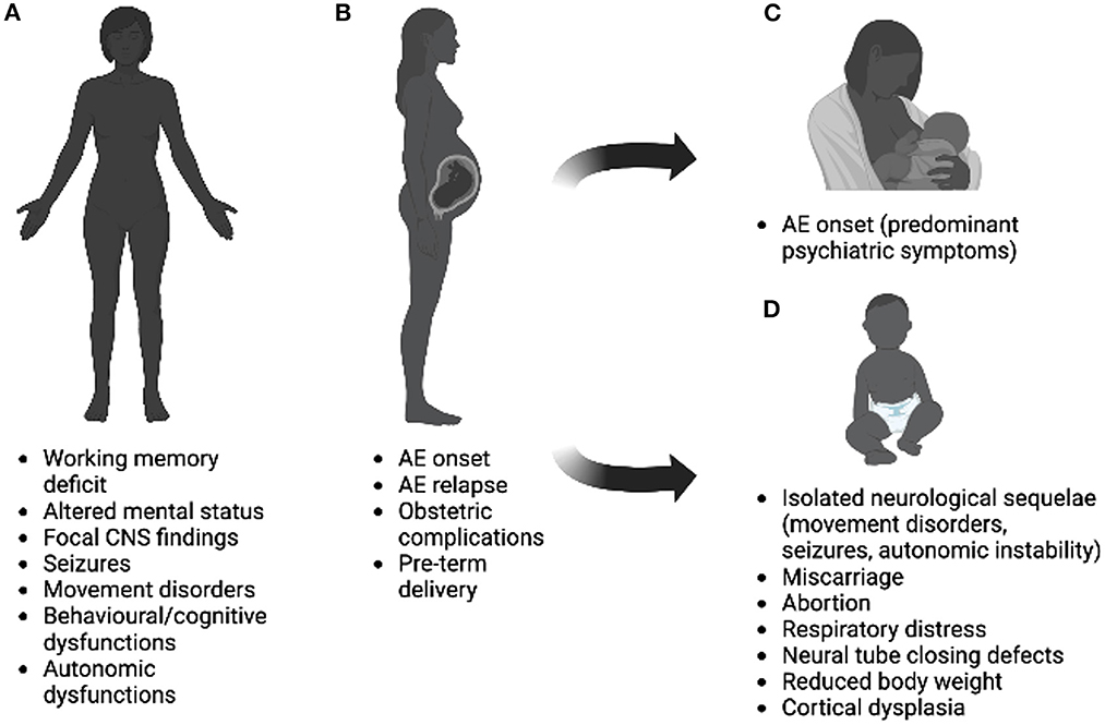 Lonoax Luax Sleeping Time Sex Video - Frontiers | Pregnancy and antibody-mediated CNS disorders: What do we know  and what should we know?