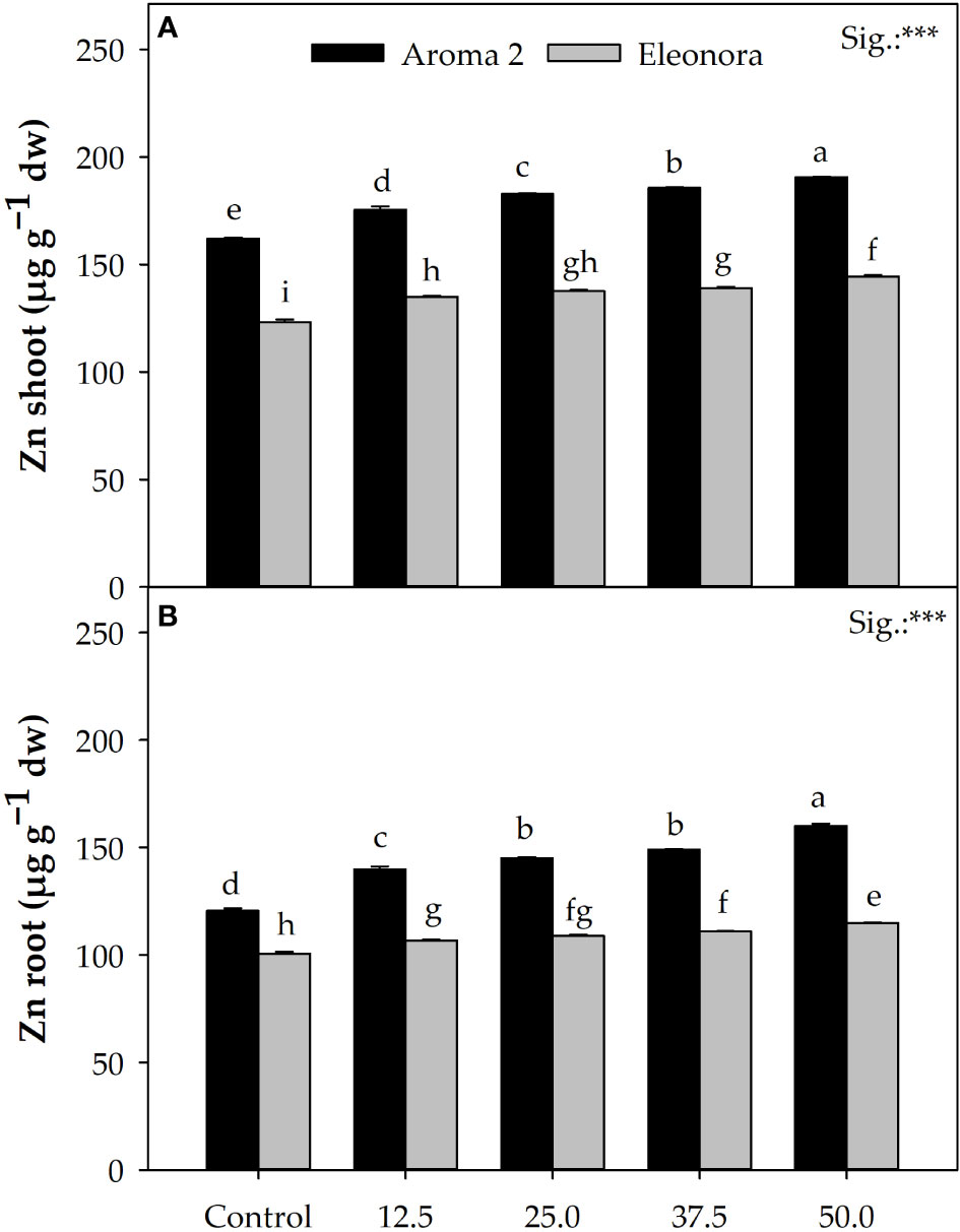 Frontiers Zinc biofortification of hydroponically grown basil