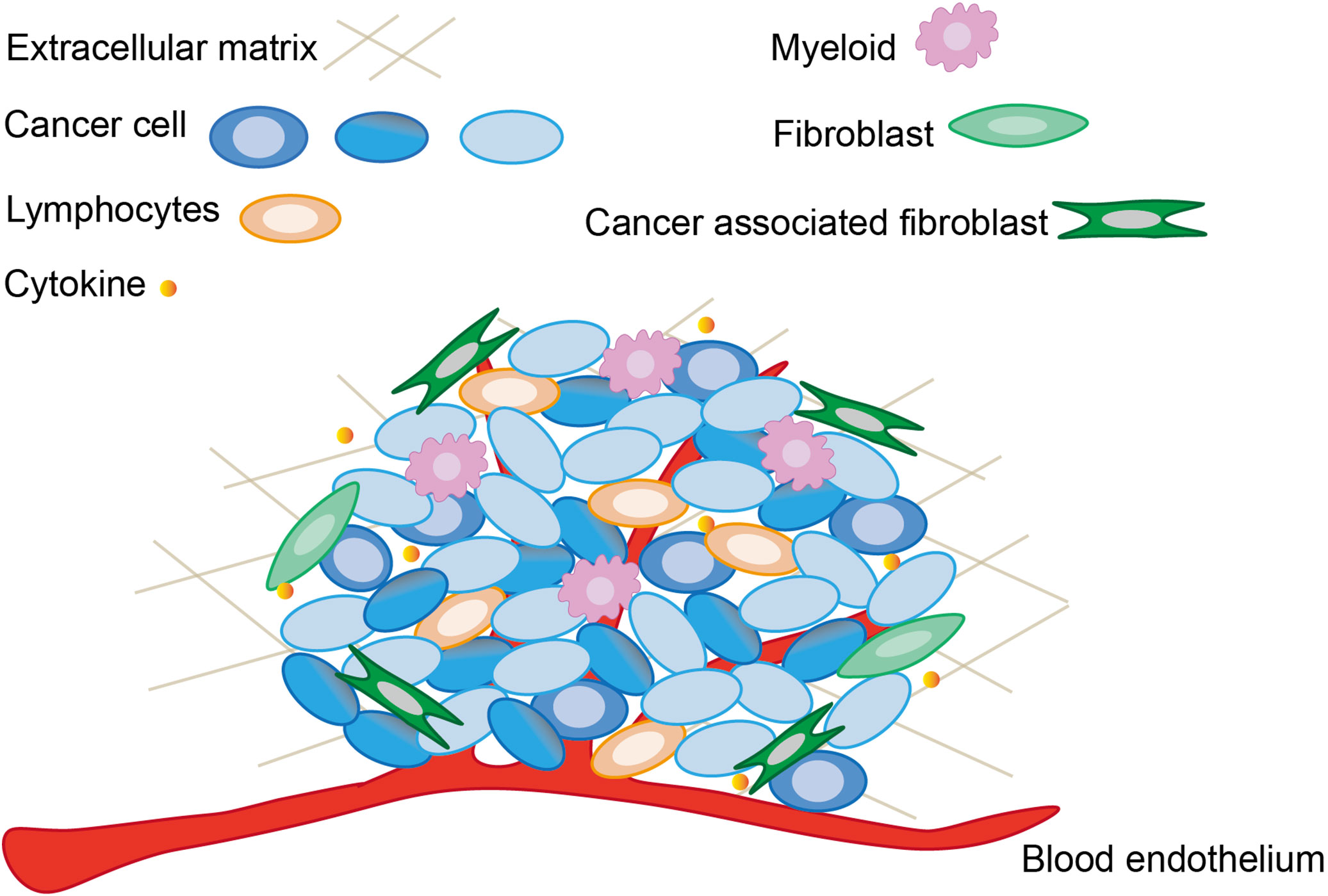 cancer cells diagram