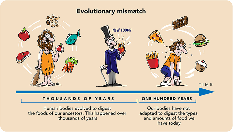 图3 -我们今天看到的与食物有关的健康疾病的普遍发生是进化不匹配的一个例子。