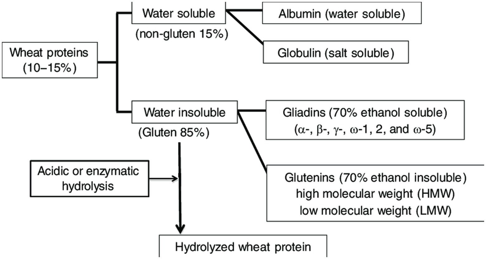Comparison of water-soluble (WS) proteins of wheat from whole meal and