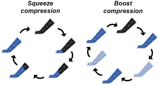 Frontiers  Effects of different intermittent pneumatic compression stimuli  on ankle dorsiflexion range of motion