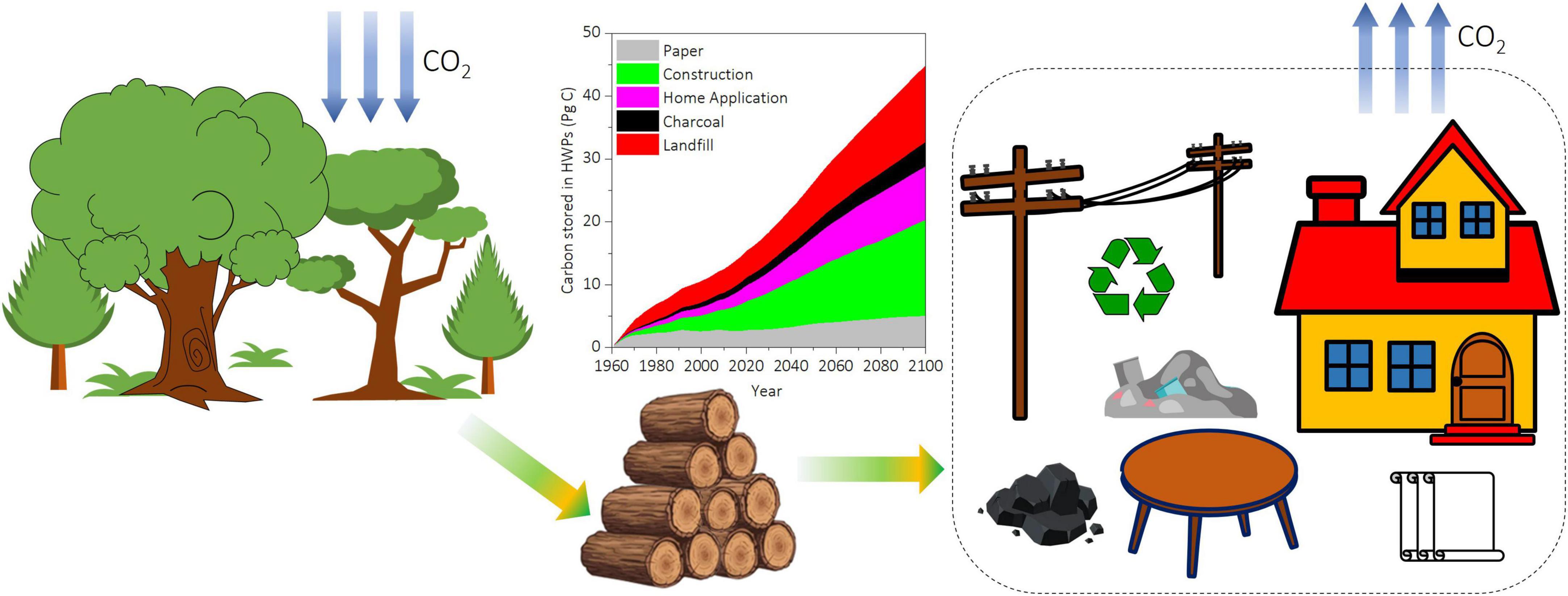 Frontiers The Potential For Storing Carbon By Harvested Wood Products