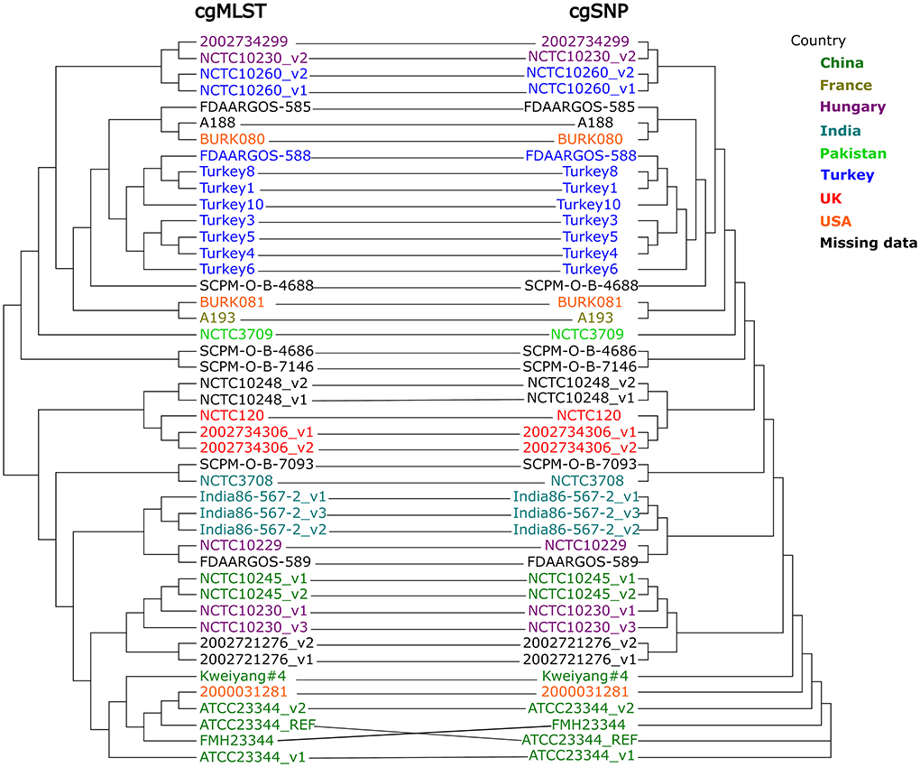 Gubbins analysis of the Avon Valley B. pseudomallei genomes. Blue lines