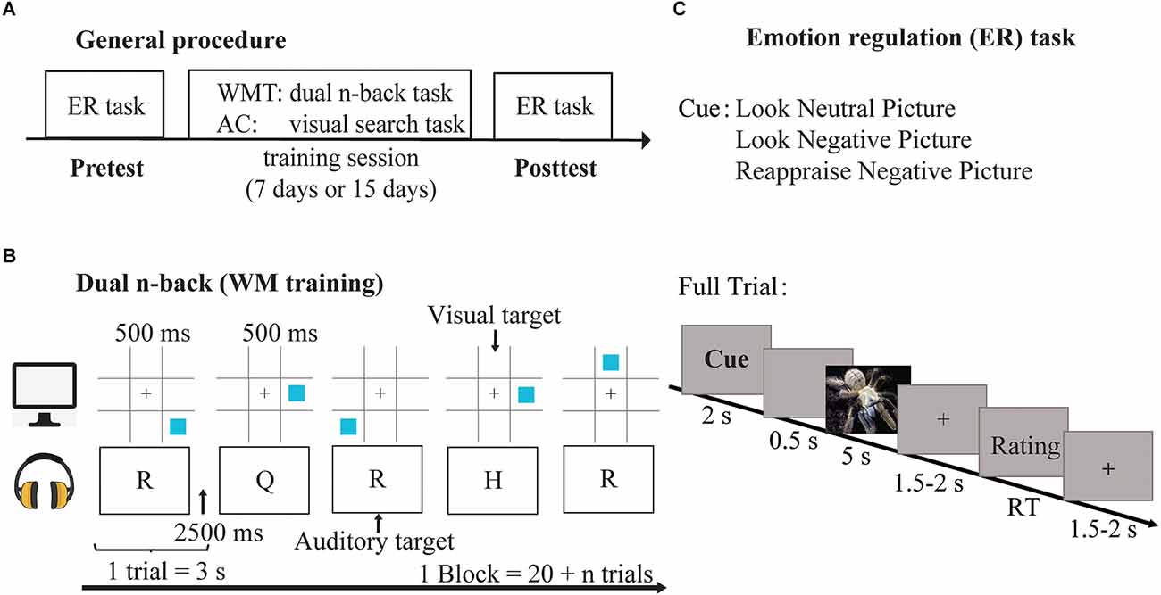 Frontiers  A 5-min paradigm to evoke robust emotional reactivity