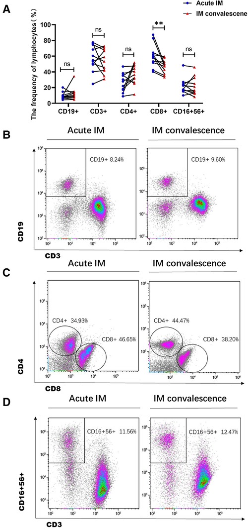 Frontiers  Characteristics of immunological events in Epstein