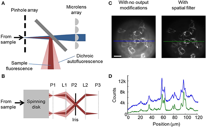 Correcting method. Spinning Disk микроскопия. High sensitivity Active Flat Optics Optical phase. Laser Diode array microlenses. Diode array microlense System.