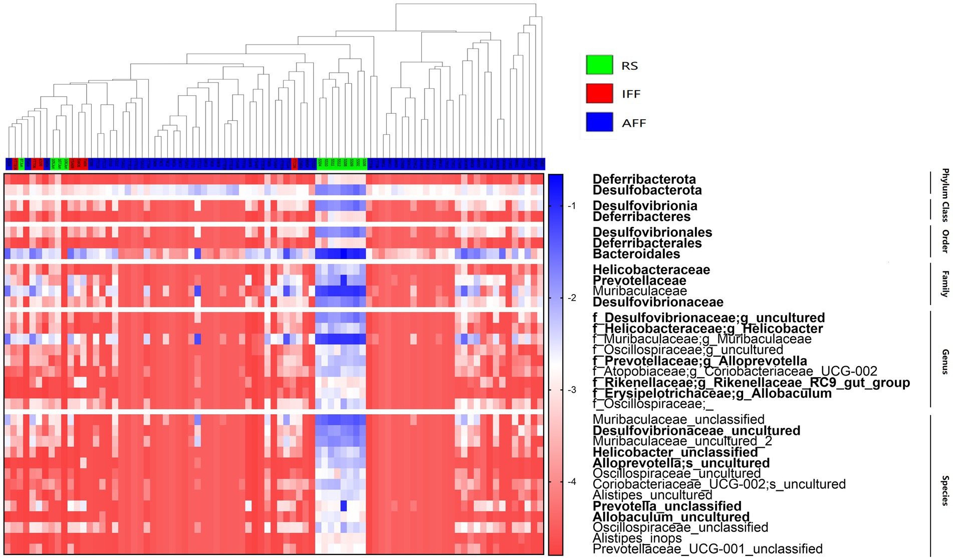 Frontiers | How elevated nitrogen load affects bacterial community 