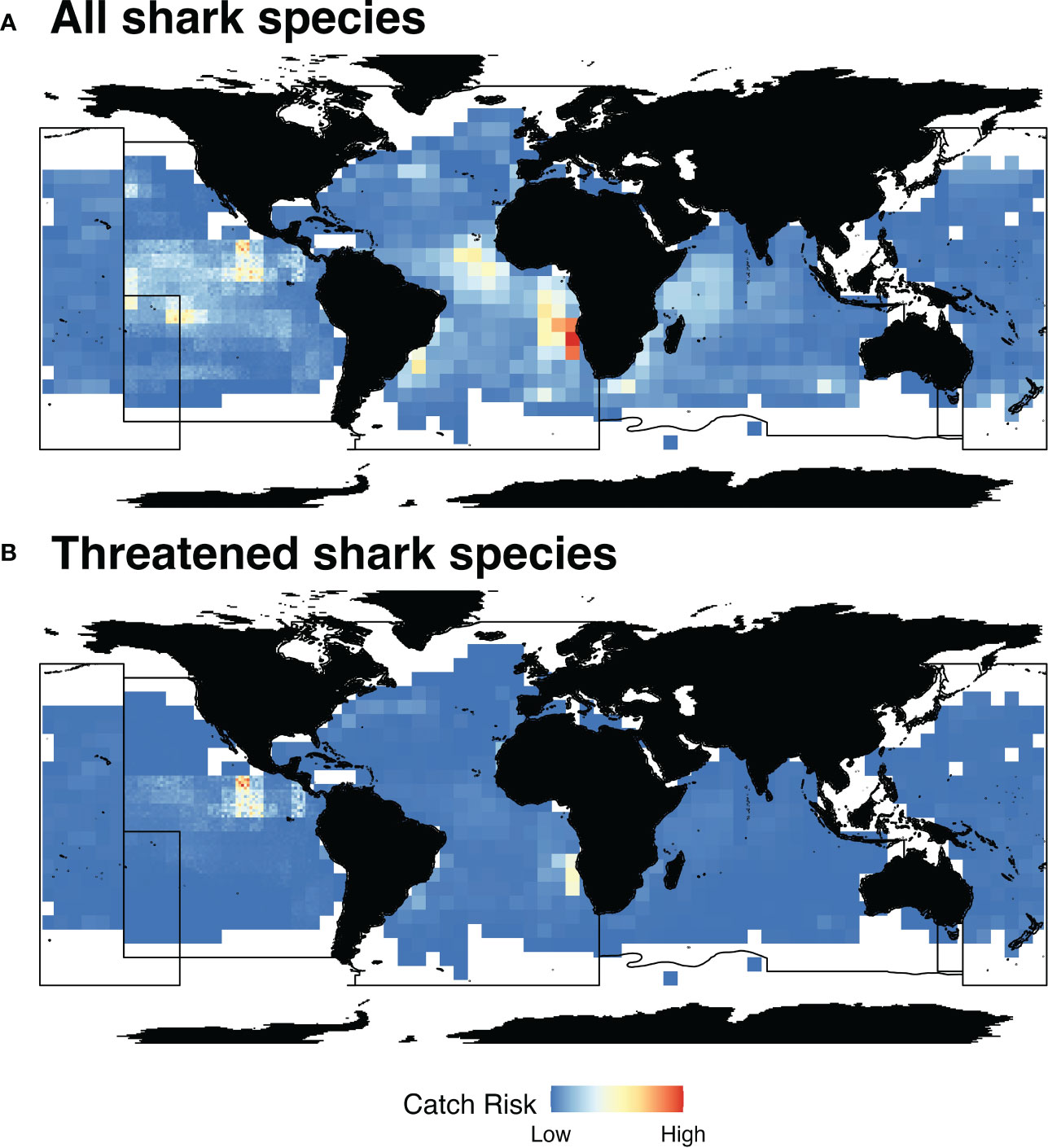 Banning Wire Leaders: A Practical Solution for Reducing Shark Bycatch in  Pelagic Longlines