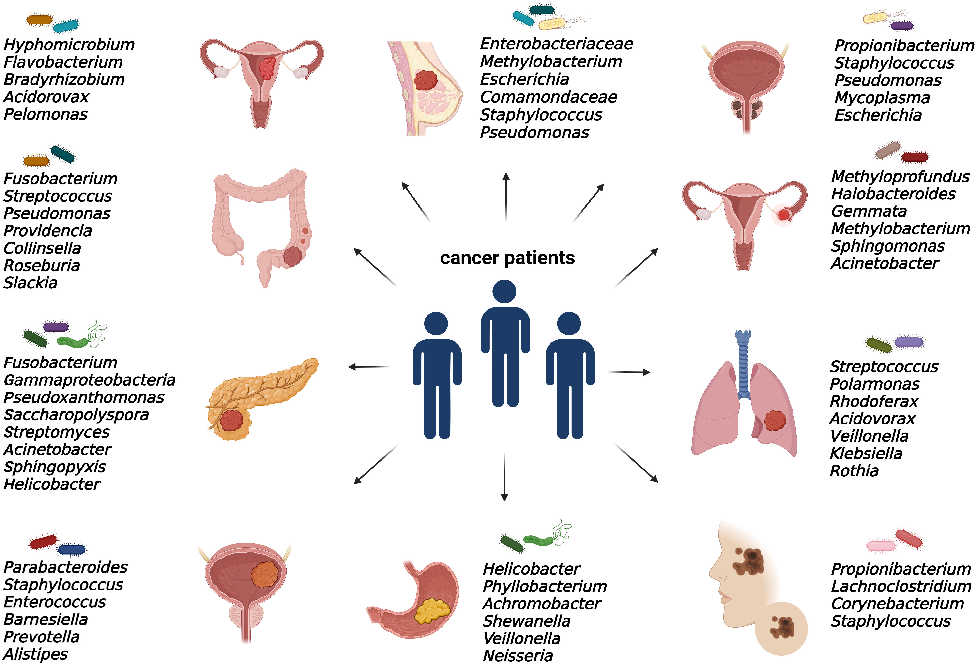 Frontiers | Tumor microbiome – an integral part of the tumor ...