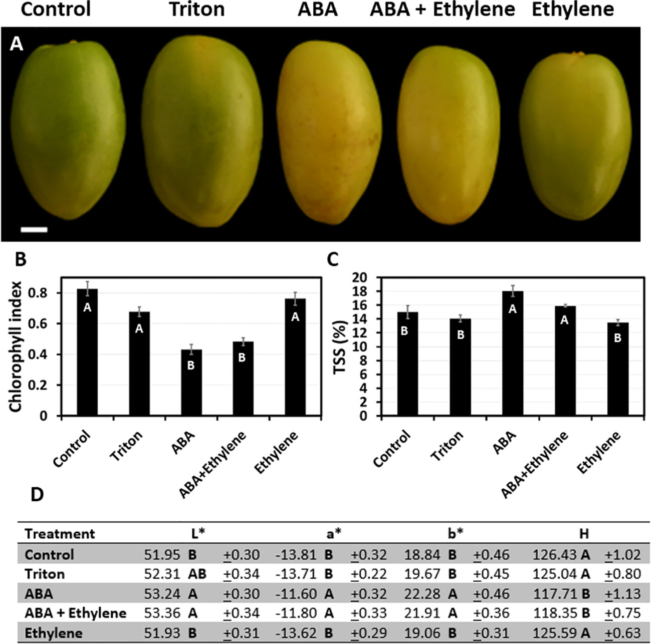 Frontiers Abscisic acid plays a key role in the regulation of date