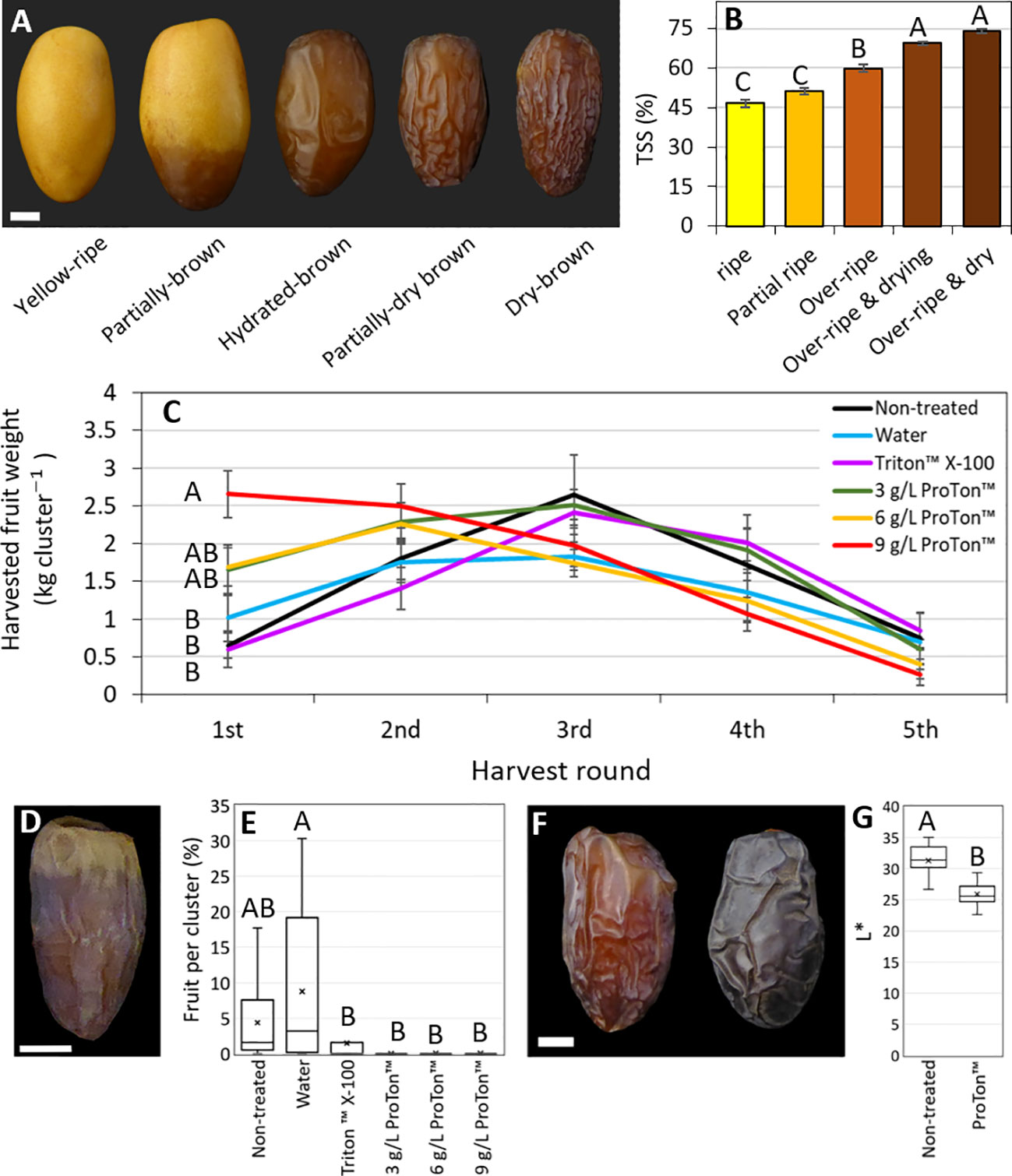 Frontiers Abscisic acid plays a key role in the regulation of date
