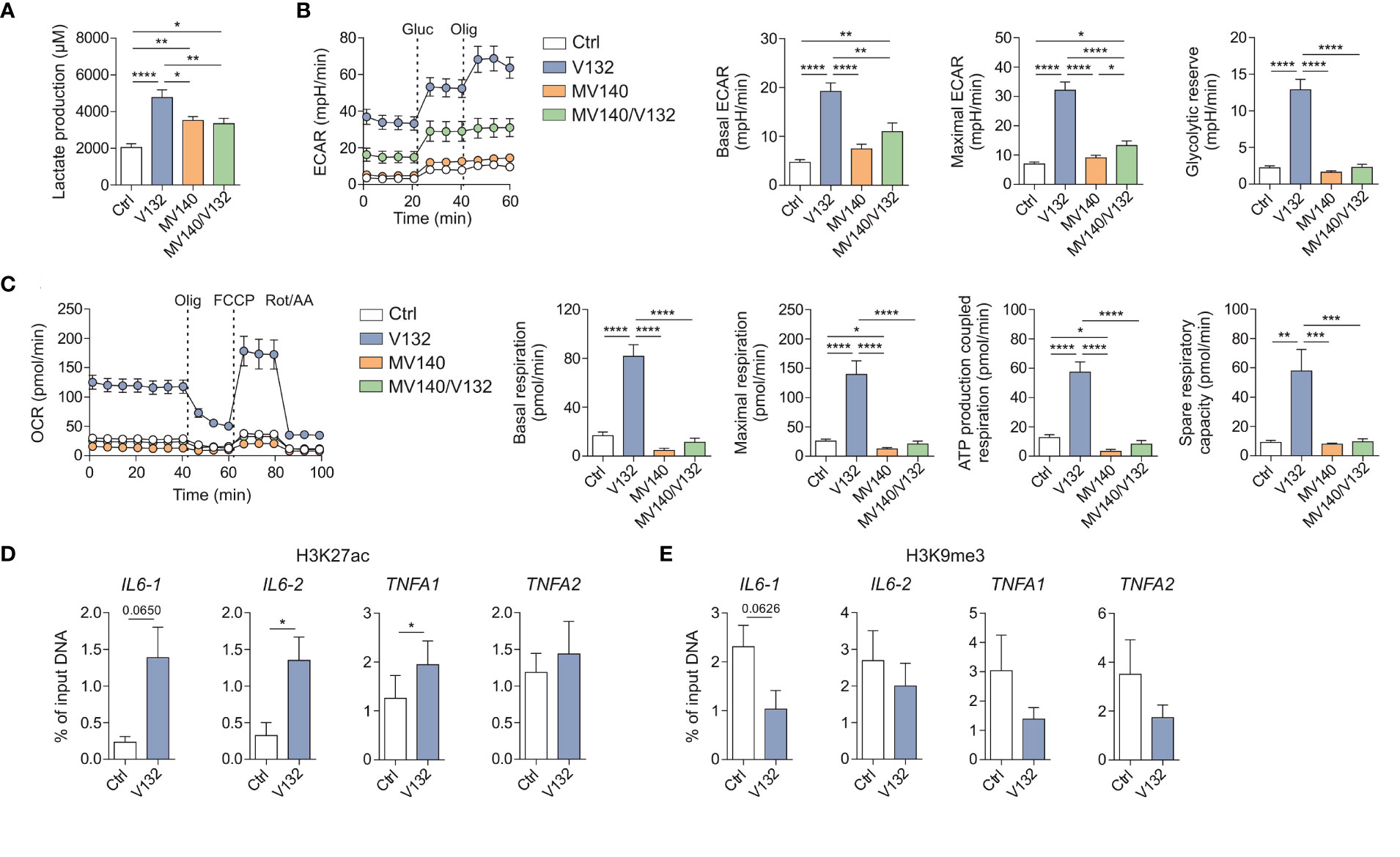 Frontiers Candida Albicans V132 Induces Trained Immunity And Enhances The Responses Triggered 