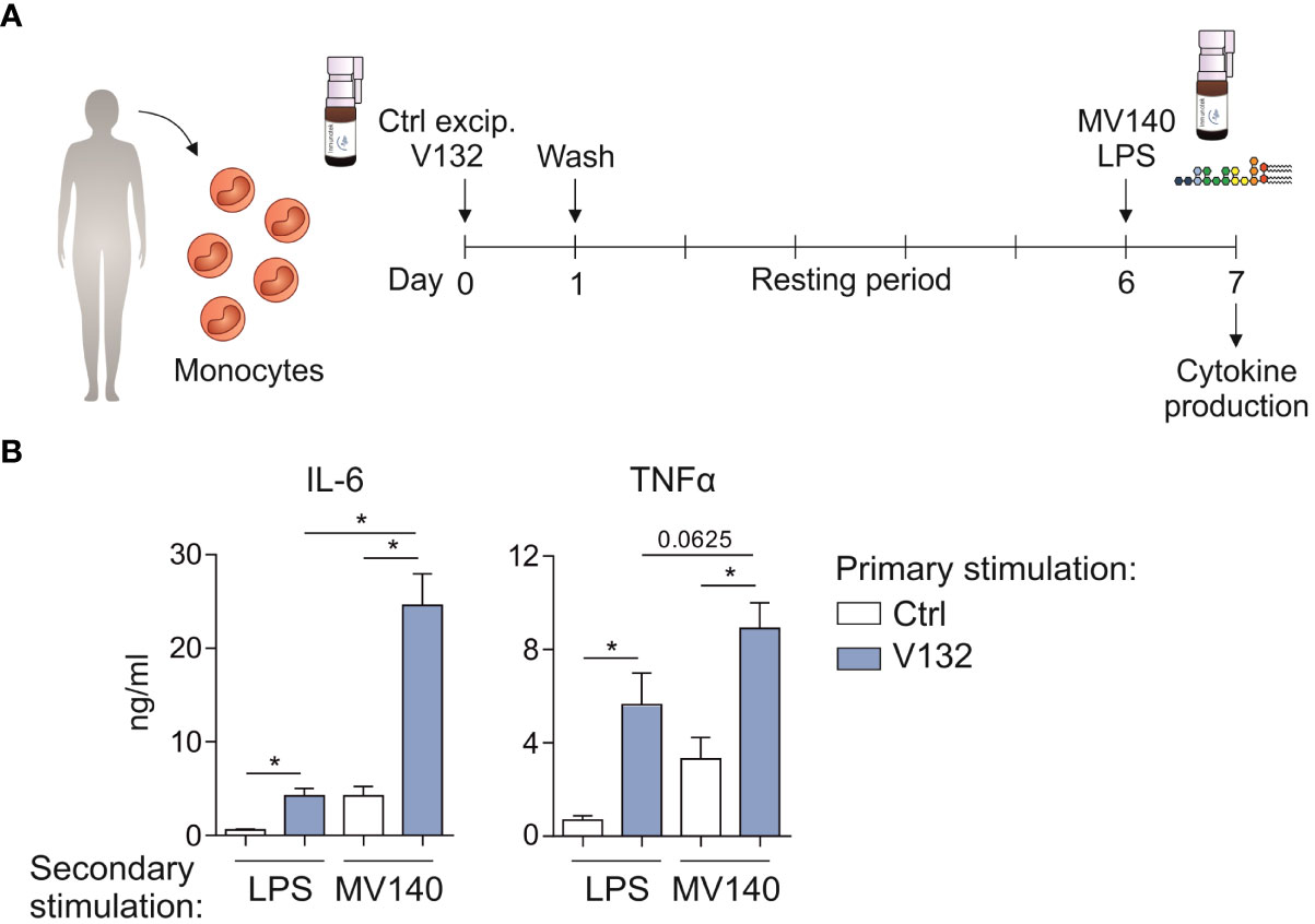 Frontiers Candida Albicans V132 Induces Trained Immunity And Enhances The Responses Triggered 