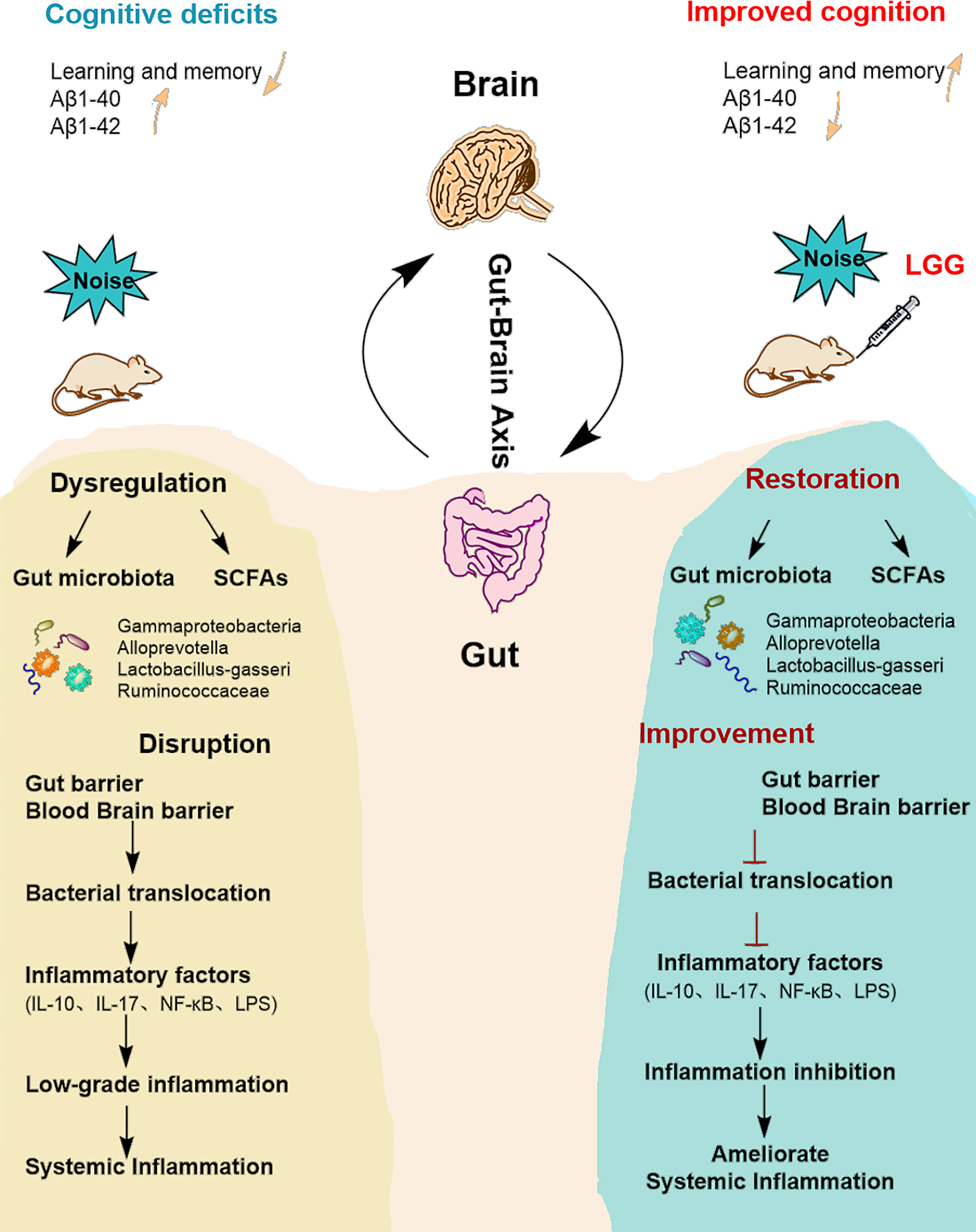 Effects of Lactobacillus rhamnosus GG on the serotonergic pathway in a  gliadin-induced enteropathy animal model - ScienceDirect