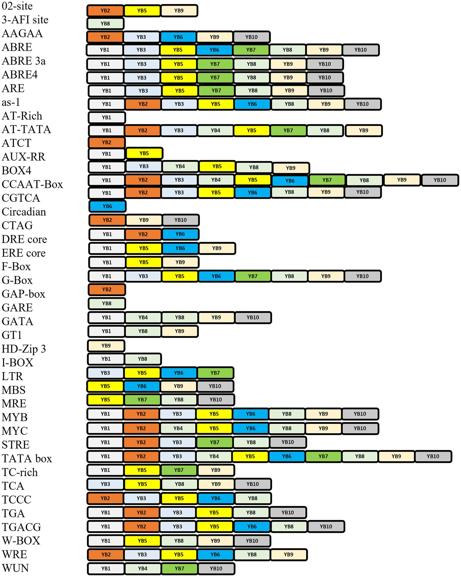 Frontiers | NF-YB family transcription factors in Arabidopsis ...