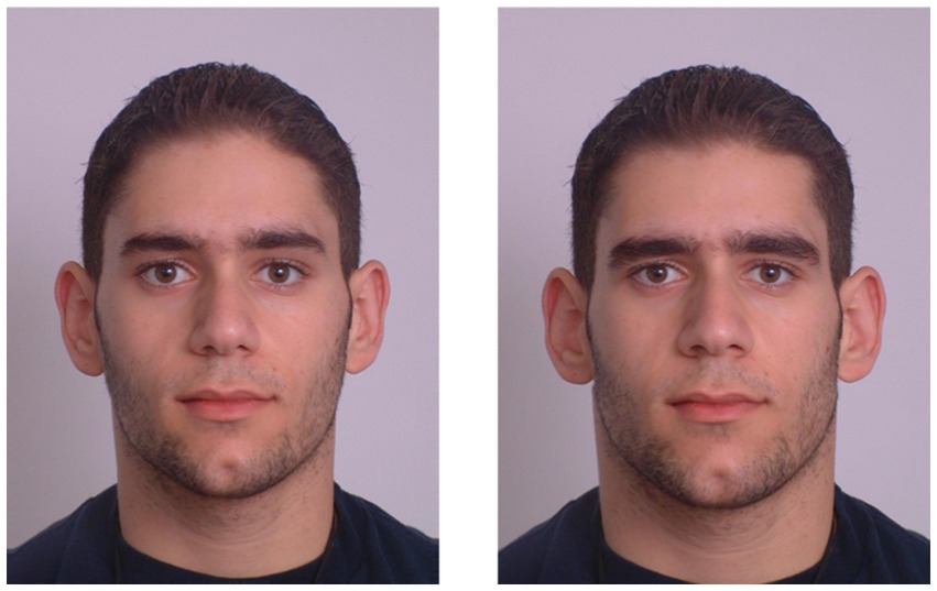 Effects of Facial Hair on Perception and Behavior  The Role of Face Hair  on How People Perceive Men