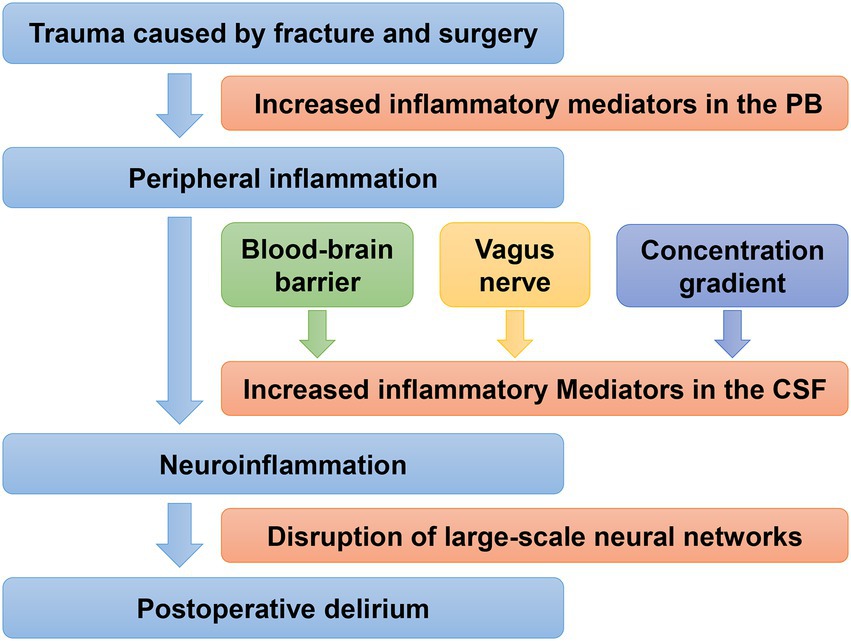 Frontiers  Postoperative delirium in geriatric patients with hip fractures