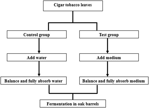 Grades of Tobacco Leaf - Wrapper vs Binder vs Filler Tobacco - Total Leaf  Supply