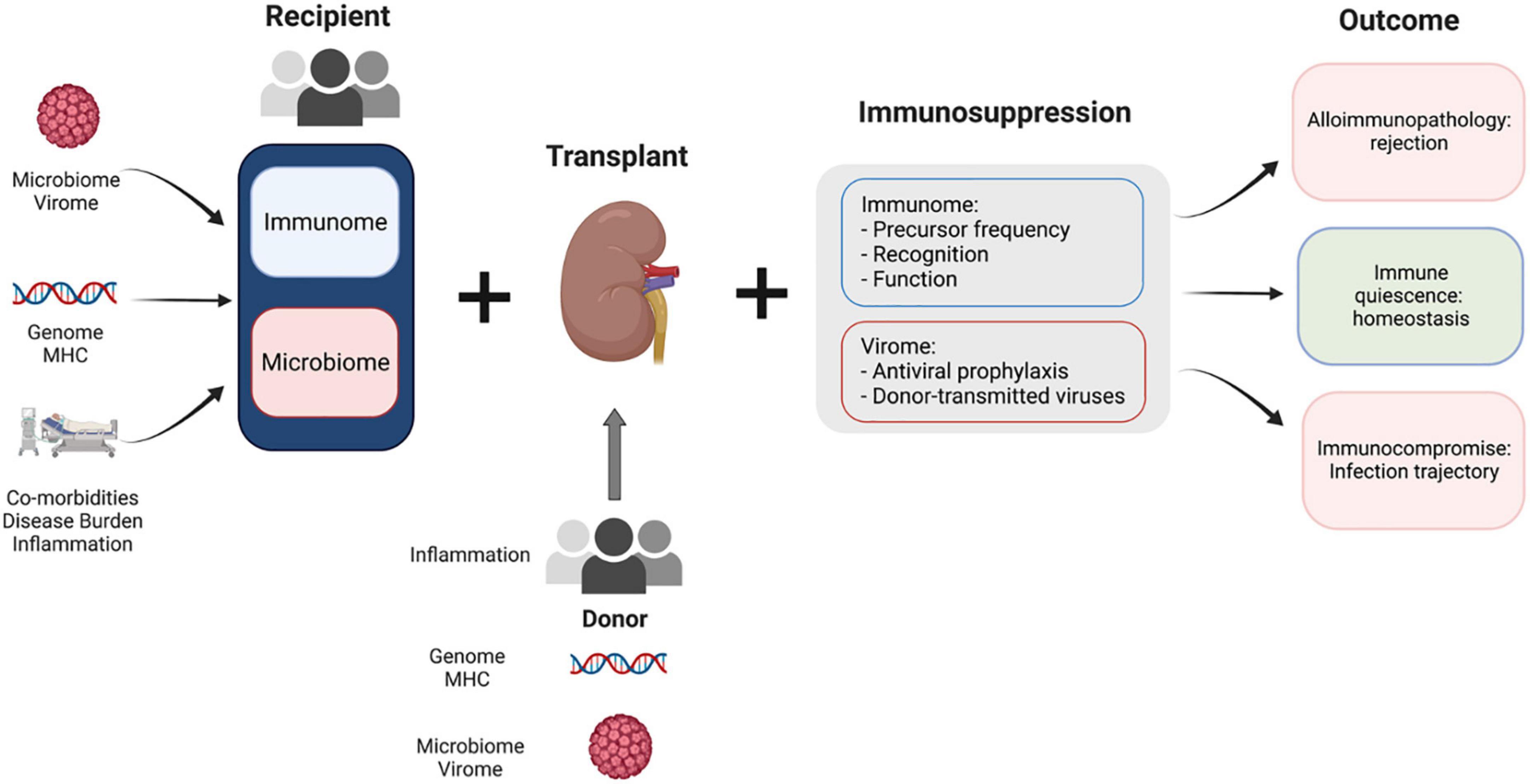 Frontiers Progress In Kidney Transplantation The Role For Systems 