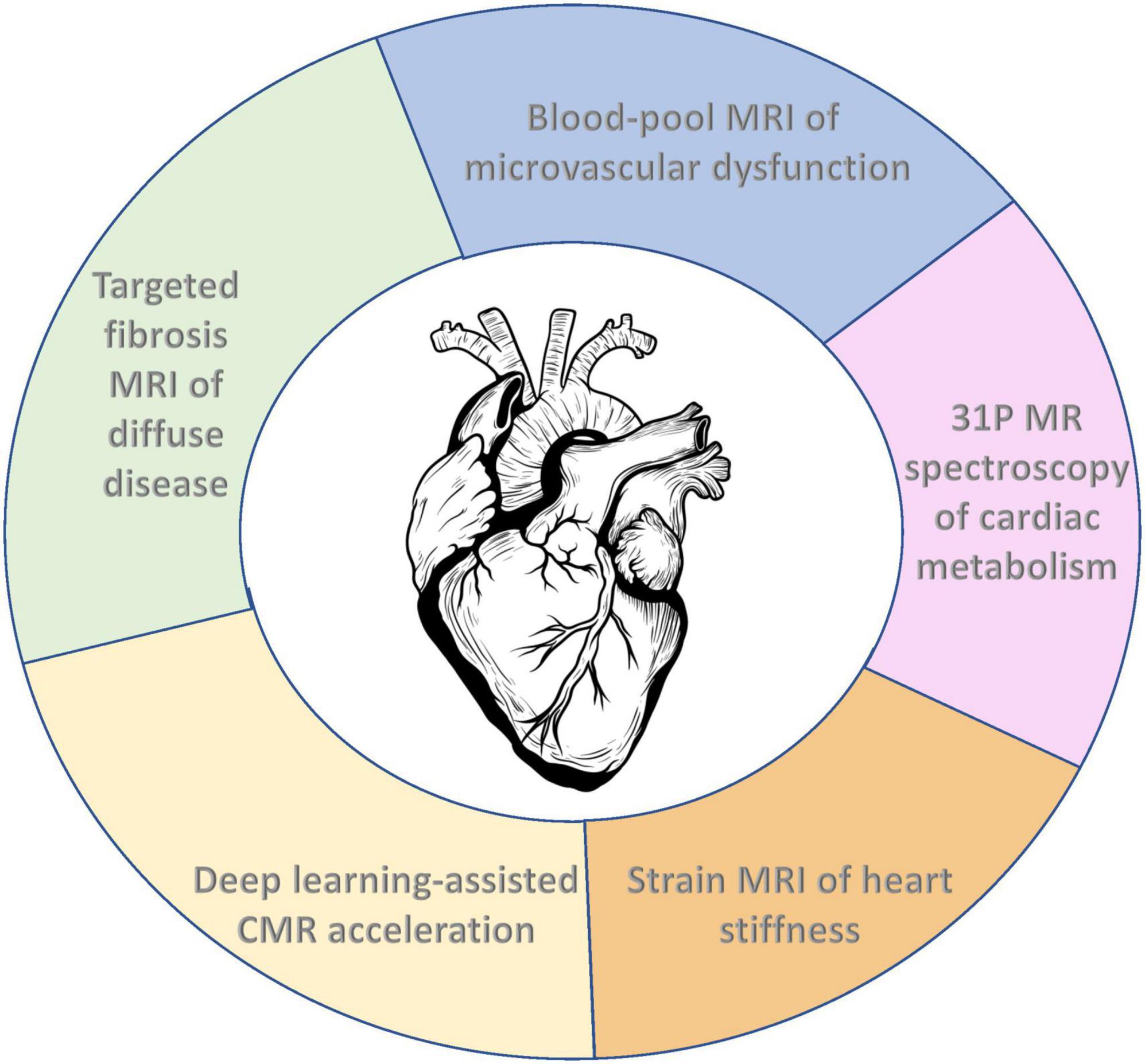 Frontiers Emerging MRI Techniques For Molecular And Functional 