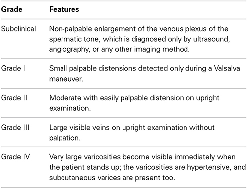varicocele ultrasound criteria