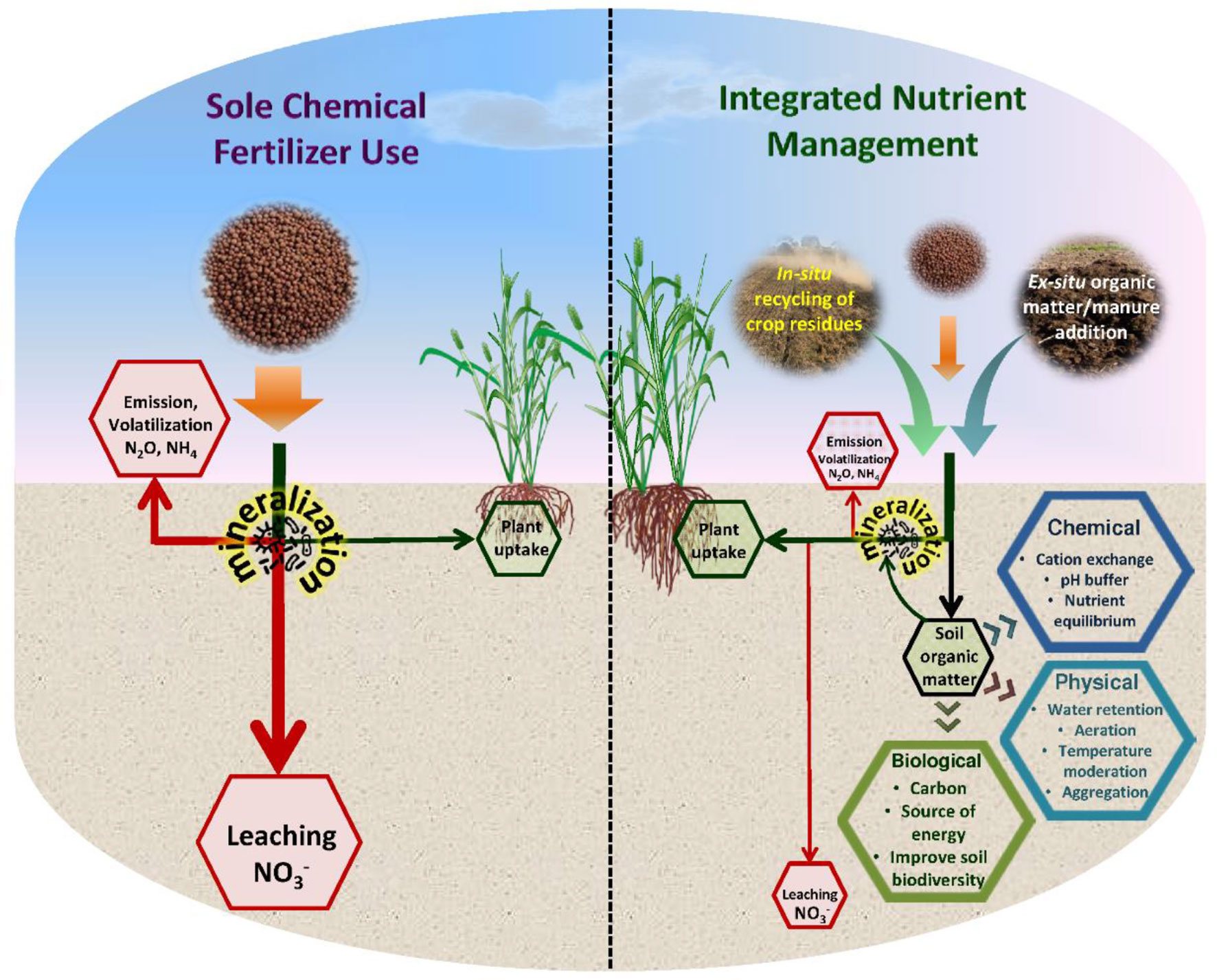 chemical fertilizer research paper