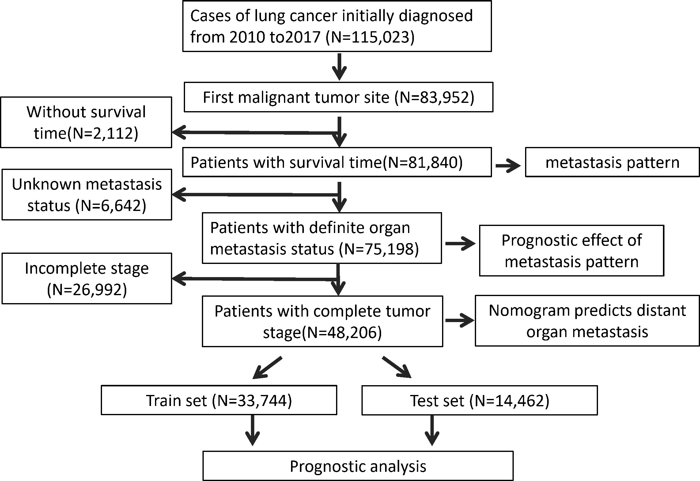 Frontiers | Prediction of distant organ metastasis and overall 