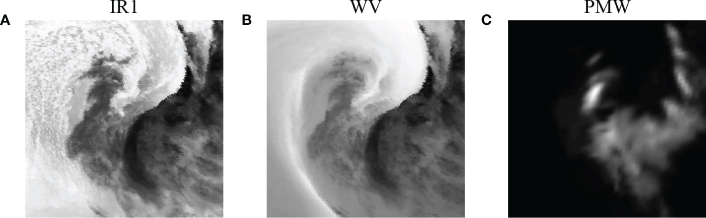 Frontiers | Tropical cyclone size estimation based on deep