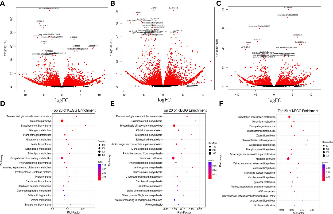 Frontiers | Genome-wide analysis of long non-coding RNAs (lncRNAs 