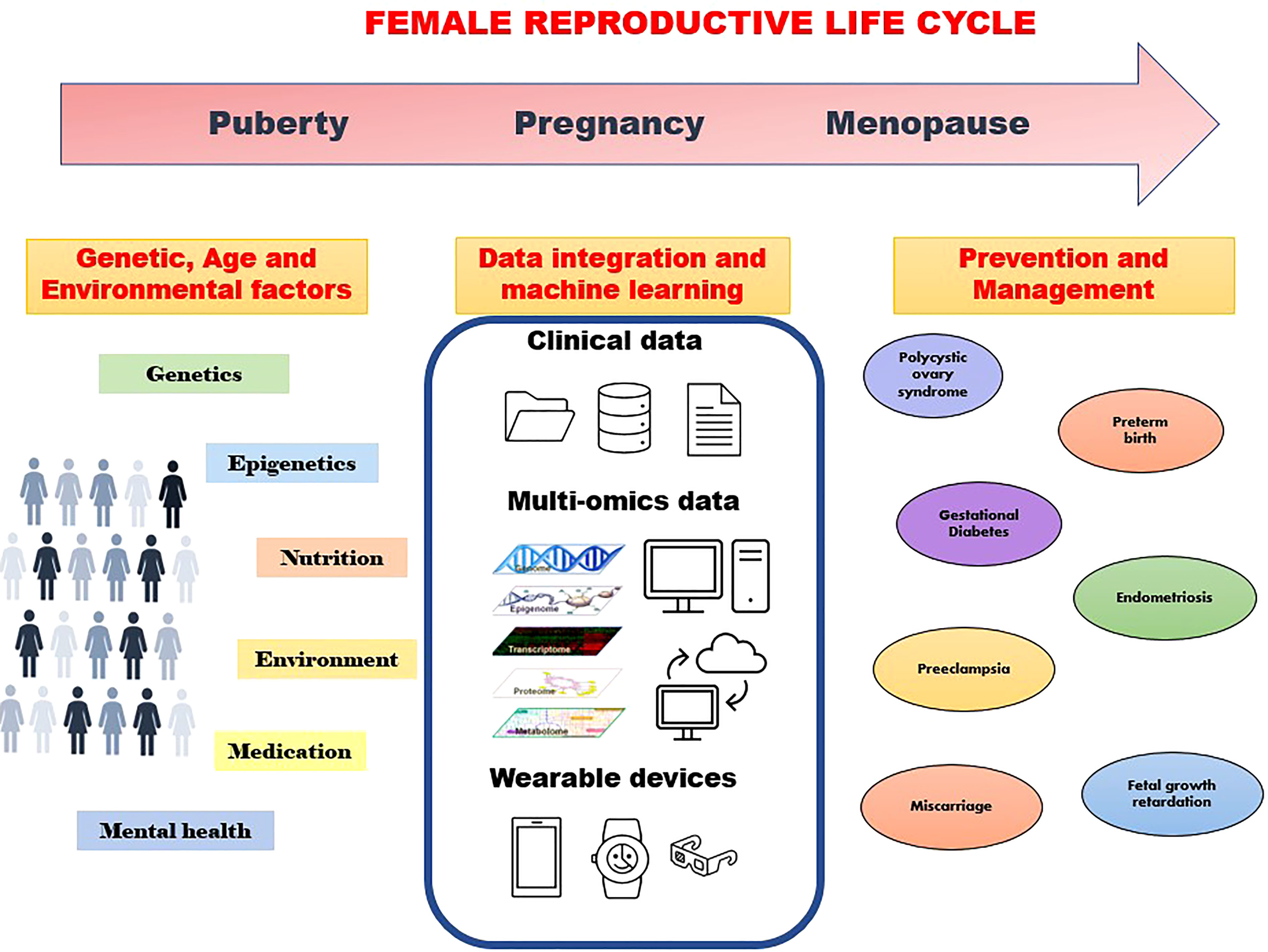 The Role of AI and Machine Learning in Personalizing Maternal Care